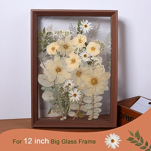 12“ Large Bulk Winter White Dried Pressed Flowers for Art Crafts, Real Dry Natural Flower Leaf for Resin Mold, Jewelry Making, Glass Frame (Winter - WoodArtSupply