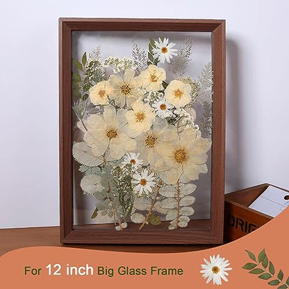 12“ Large Bulk Winter White Dried Pressed Flowers for Art Crafts, Real Dry Natural Flower Leaf for Resin Mold, Jewelry Making, Glass Frame (Winter - WoodArtSupply