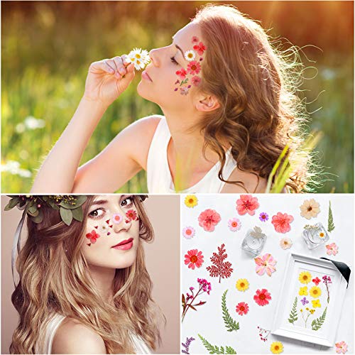 Nuanchu 109 Pieces Dried Pressed Flowers for Resin, Natural Pressed Dry Flowers Leaves Mixed Multiple Dried Flowers with Tweezer for DIY Art Nuanchu