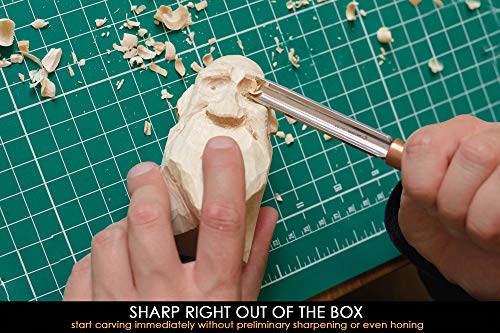 BeaverCraft Wood Carving Gouge K9/10 Woodworking Hand Chisel Compact Wood Carving Knife for Beginners and Profi BeaverCraft