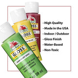 Apple Barrel Gloss Paint Set, 16 Piece (2-Ounce), PROMOABG Colors Apple Barrel