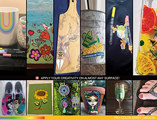 TOOLI-ART 22 Acrylic Paint Markers Paint Pens Pro Color Series Set 3mm Medium Tip for Rock Painting, Glass, Mugs, Wood, Metal, Glass Paint, Canvas, TOOLI-ART