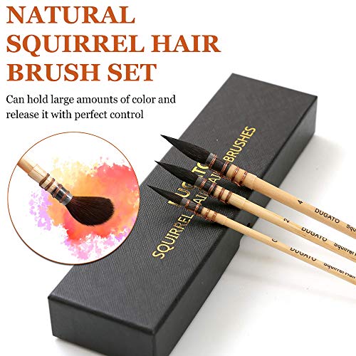 Professional Watercolor Squirrel Hair Paint Brushes by DUGATO, Mop Round Fine Tip Detail Paintbrush Set for Art Painting, Gouache, Fine Detailing, DUGATO