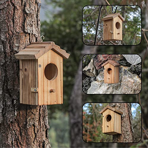 Hummingbird House for Outside Hanging Small Bird Nesting Box - Wood Nest for Robin, Hummingbird, Parakeet, Bluebird - Perch House for Outdoors