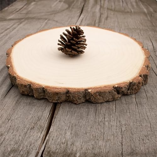 Large Unfinished Wood Slices for Centerpieces 1 Pcs 10-11 inches Natural Wood centerpieces for Tables Table Decor, Rustic Wedding Centerpieces， Wood