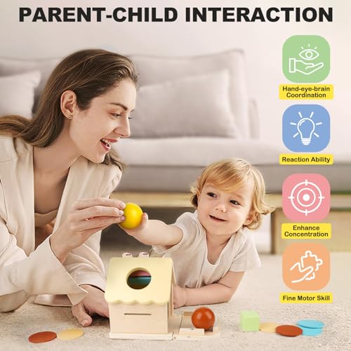 5-in-1 Wooden Play Kit Montessori Toy, Object Permanence Box, Coin Box, Toddler Ball Coin Drop Toy House, Shape Sorter, Toddlers Wooden Learning Toy