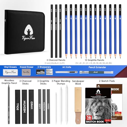 Art Supplies, Sketching & Drawing Pencils Art Kit with 2 Sketch Pads , Professional Artists Drawing Supplies Set Includes Graphite, Charcoals, - WoodArtSupply