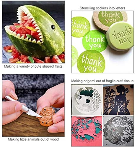 JTIEO Weeding Tools for Vinyl 26Pcs Craft Weeding Tools Kits Cricut Weeding Tool Set Scrapbooking Tools DIY Art Tools Precise Vinyl Weeding Tool Kit JTIEO