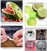 JTIEO Weeding Tools for Vinyl 26Pcs Craft Weeding Tools Kits Cricut Weeding Tool Set Scrapbooking Tools DIY Art Tools Precise Vinyl Weeding Tool Kit JTIEO