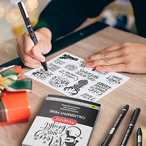 PANDAFLY Calligraphy Pens, 10 Size Calligraphy Pens for Writing, Hand Lettering, Art Drawing, Sketching, Scrapbooking, Journaling, Calligraphy Brush PANDAFLY