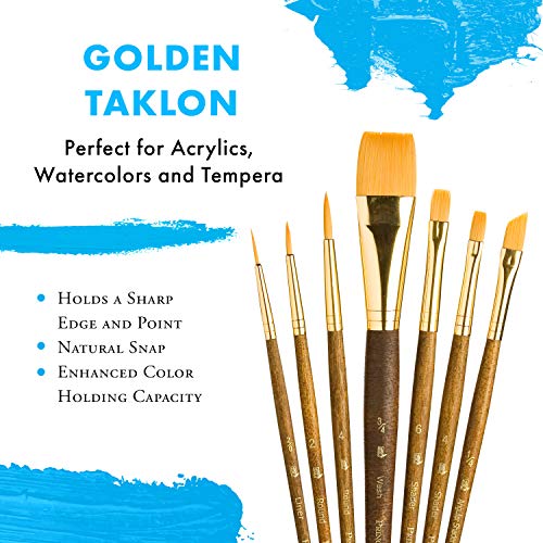 Princeton Real Value, Series 9100, Paint Brush Sets for Acrylic, Oil & Watercolor Painting, Syn-Gold Taklon (Rnd 2, 4, Liner 2/0, Shader 2, 6, PRINCETON ARTIST BRUSH CO.