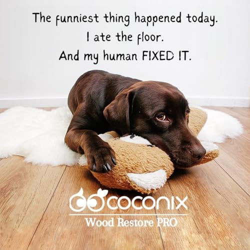 COCONIX Wood Restore PRO Professional Floor & Furniture Repair Kit - WoodArtSupply