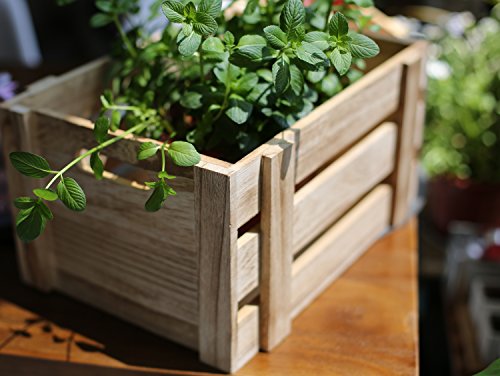 Natural Wood Crates for Storage - Set of 3: Decorative Unfinished Wooden Crates, Country Style Small Crates for Display, Rustic Farmhouse Shelf