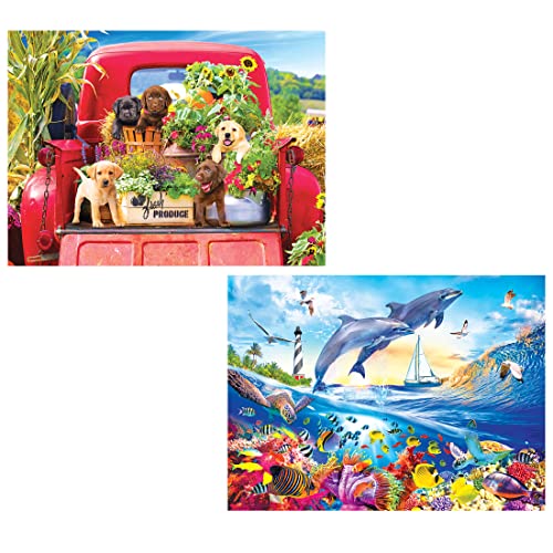 Kodak 1000 Piece Jigsaw Puzzle Set - Stowaways and Playful Summer Dolphins - WoodArtSupply