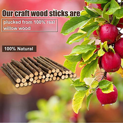QTLCOHD 100Pcs Twigs for Crafts 6 Inch Craft Wood Sticks 0.3-0.5 Inch Diameter Mini Wood Log Sticks Natural Wood Sticks for Crafts, Photo Props, DIY