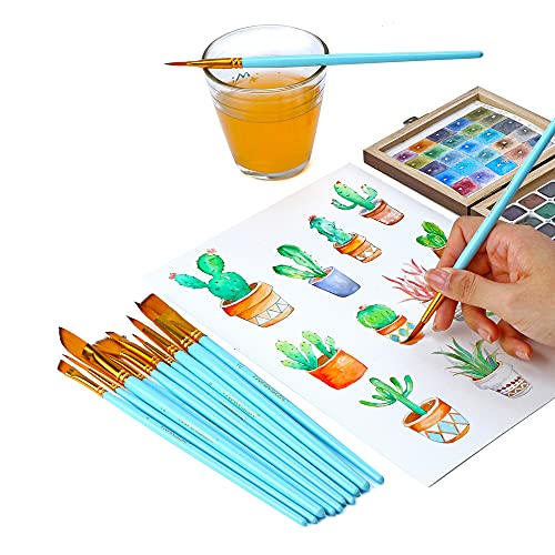 Transon Art Painting Brush Assorted Set of 12 with Acrylic Paint Set 12-Color TRANSON