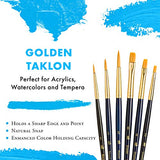 Princeton Art & Brush Princeton Real Value, Series 9100, Paint Brush Sets for Acrylic, Oil & Watercolor Painting, Syn-Gold Taklon (Rnd 1, 3, 5, Princeton Art & Brush