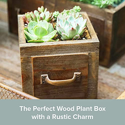 Country Style Wood Planter Box [1-Drawer] Rustic Wooden Flower Box - 5.5"x5.5" Square Planter - Small Wood Crates Unfinished Succulent Planters -