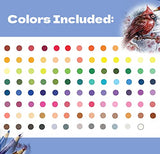 ArtSkills Artist Colored Pencils Set, Colored Pencils for Adult Coloring Books, Drawing, Sketching, 100-Count ArtSkills