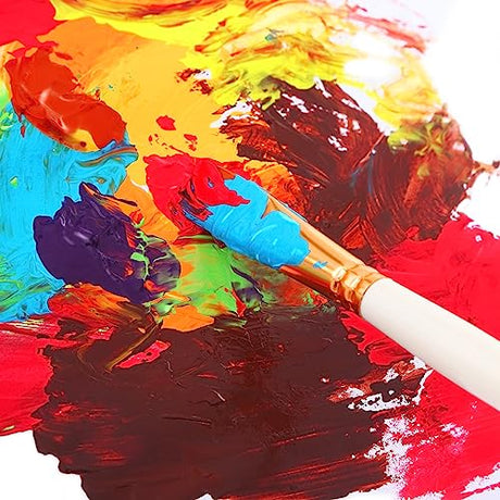 Acrylic Paint Set 24 Colors Acrylic Paints for Painting, Art Craft Paint Gift for Artists Kids Beginners, Pumpkin Canvas Ceramic Rock Painting Kit SNOW COOLER