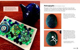 Rock Art for Beginners: Simple Techniques and Easy Projects for Transforming Stones into Art (New Shoe Press) WoodArtSupply