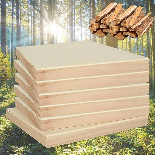 SHUESS 10 Pack 8'' x 8'' Wood Panel Boards, Unfinished Wooden Canvas Panels, Cradled Wood Panels for Painting, Drawing and DIY Crafts Projects, SHUESS
