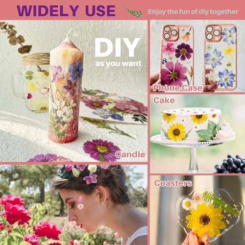 ZQmino A4 Large Dried Pressed Flowers for Resin Sunflower Pressed Flowers Real Dry Natural Flowers Leaves for Resin Mold Cake Candle Making Phone ZQmino