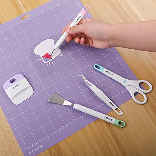 CAREGY Craft Vinyl Weeding Tools Set, Precision Craft Vinyl Tools Kit, Weeding Kits for Cricut/Silhouette/Siser/Oracal 631 651 751 Vinyl - WoodArtSupply