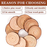 Coadura Unfinished Natural Wood Slices 30Pcs 2.4-2.8 Inch Round Wood Discs for Crafts Wood Christmas Ornaments,Wedding Centerpieces Paintings DIY Coadura