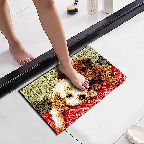 YAKOLECI Latch Hook Kits, DIY Rug Making Kits with Printed Pattern Canvas, Instrution, Yarns and Latch Hook, Easy to Start for Beginners, DIY Home YAKOLECI