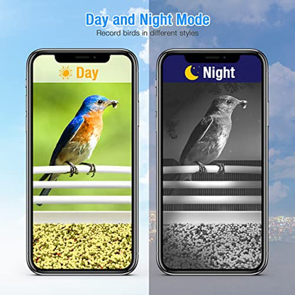 isYoung Smart Bird Feeder with Camera, Free AI Forever, Identify Bird Species, Wireless Connection Bird Camera with Solar Panel, Auto Capture & - WoodArtSupply