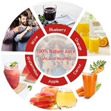 4.75 Gallon Fruit Wine Press - 100% Nature Apple&Grape&Berries Crusher Manual Juice Maker for Kitchen, Solid Wood Basket with 8 Blocks Heavy Duty EJWOX