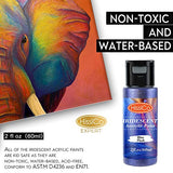 Iridescent Acrylic Paint, Set of 16 Chameleon Colors 60ml 2 OZ Bottles, High Viscosity Shimmer Paint, Non-Toxic and Fade-Resistant for Artists, HissiCo