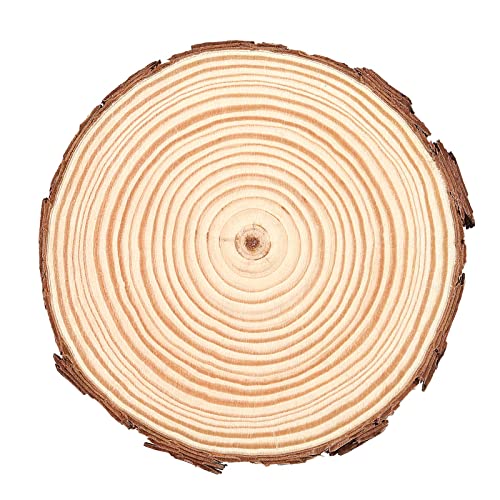 TAICHEUT 100PCS 3.5-4 Inch Natural Wood Slices, Unfinished Wood Slices Wooden Bark Slices Log Circles for Painting, Coasters, Ornaments and Craft TAICHEUT