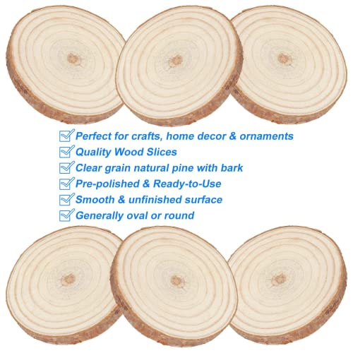 10 Pack Discount Large Wood Slices Discount Wood Slices for Wood