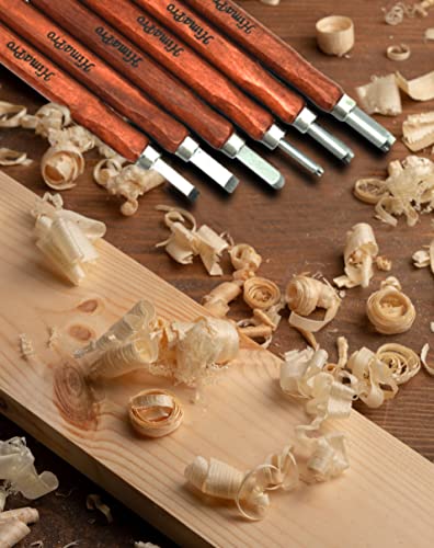 HimaPro Dual Pen Wood Burning Kit, Wood Burner Tool Kit, Wood Burning Station Kit, Pyrography Kit; 60W 100/120V with Adjustable Temperature 0~720°C; HimaPro