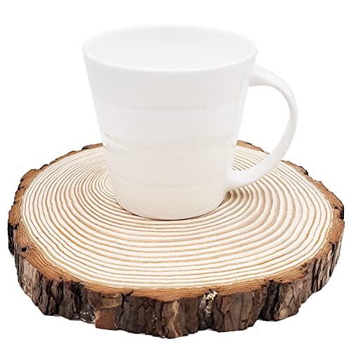 Natural Round Discs Rustic Wood Slices 5 Pcs 7-8 inch Unfinished Wood kit Circles Crafts Tree Slices with Bark Log Discs for DIY Arts and Wedding William Craft