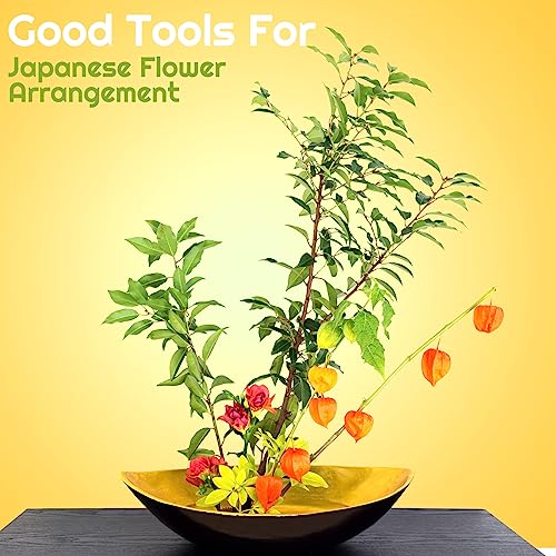 Waydress Plastic Flower Frog Pin Holder Clear Flower Arranger Frog Christmas Gift for Flower Arrangement Enthusiast Japanese Decoration Floral Waydress