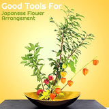 Waydress Plastic Flower Frog Pin Holder Clear Flower Arranger Frog Christmas Gift for Flower Arrangement Enthusiast Japanese Decoration Floral Waydress