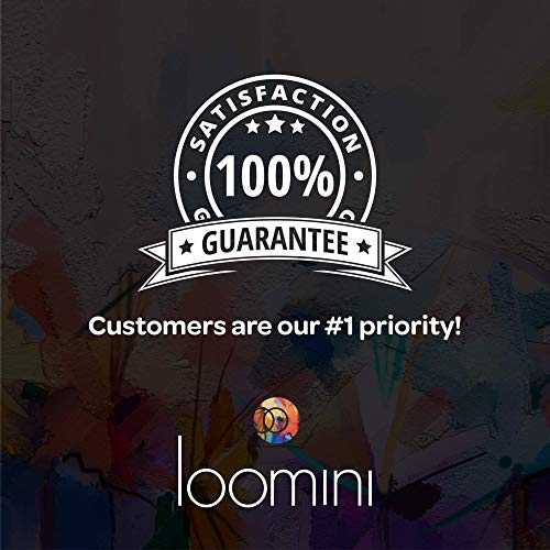 Acrylic Paint Brushes Set of 15, with Paint Set Included with 24 Acrylic Paints LOOMINI