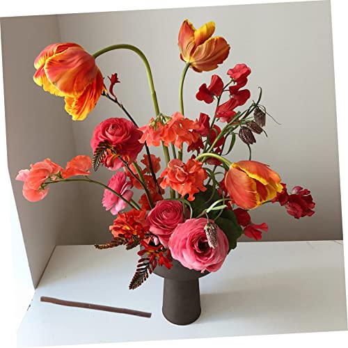 TEHAUX 40pcs Branch Tree Branch Decor Crafts with Twigs and Branches Exquisite DIY Wood Sticks Birch Tree Branches Birch Wood Sticks Delicate DIY TEHAUX