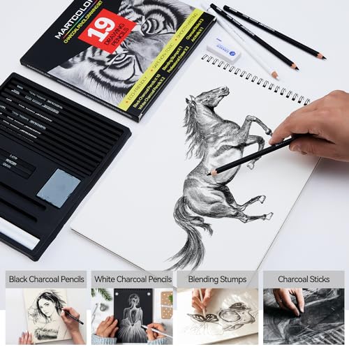 MARTCOLOR Charcoal Drawing Set, 19 Pieces, Black & White Charcoal Pencils for Drawing, Sketching, Shading, Blending, Artist Pencils for Beginners & MARTCOLOR