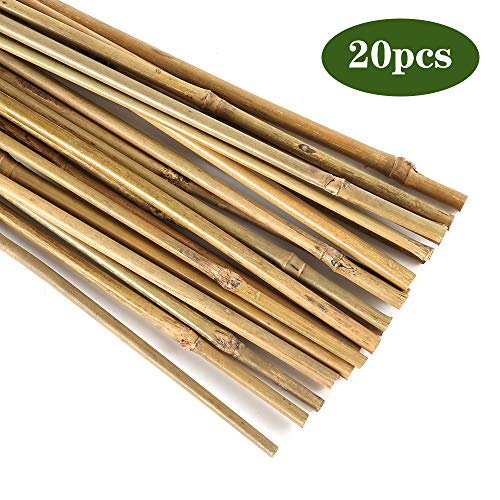 Pllieay 20PC 1.33'/16 Inch Natural Plant Stakes Garden Stakes Bamboo Sticks for Outdoor and Indoor, Potted Tomato Plant Support Pllieay