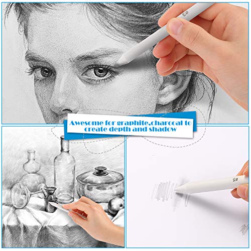 AGPTEK 22 PCS Sketch Drawing Tools, 16 Blending Stumps Set with 2 Sandpaper Pencil Sharpeners, 1 Pencil Extension Tool, 2 Erasers & 1 Felt Bag for AGPTEK