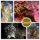 White & Black Alcohol Ink Set - 4 Ounce White and Black Alcohol-Based Inks for Resin Petri Dish Making, Epoxy Resin Painting, Yupo Paper - Alcohol DecorRom