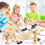Dinosaur STEM Kits for Kids Ages 6-8-10-12, 4 in 1 Stem Projects, Wood Building Toys for Boys Age 8-12, Build It Yourself Woodworking Kit, DIY 3D Yutin