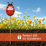 Soil Moisture Meter, Plants Moisture Meter, Gardening Tool Kits for Plant Care, Plant Water Monitor for Garden, Farm, Lawn Indoor & Outdoor Use, No UNIWA