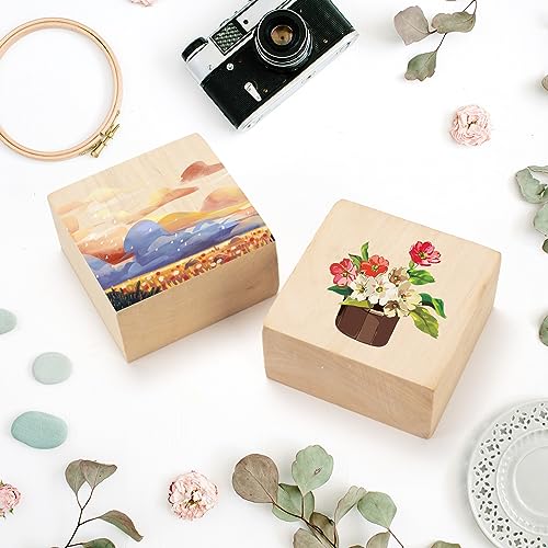 2 Pack Unfinished Basswood Carving Blocks Kit, 4 x 4 x 2 Inch Unfinished Bass Wood Whittling Soft Wood Carving Block Set for Kids Adults Wood Carving PONGJA