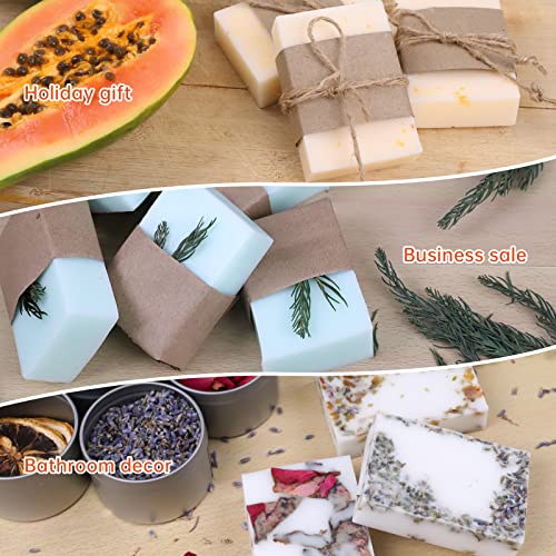 FAST MELT 3L Soap Base Melter - Soap Making Kit with Constant Temperature Control Melter, Quick Pour Spout, Ideal for Homemade Soap Business Fast FAST MELT