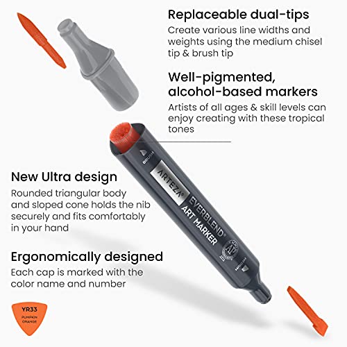 ARTEZA Alcohol Brush Markers, Set of 36 Colors, EverBlend Tropical Tones, Medium Chisel and Brush Nib, Dual Tip Markers for Drawing and Sketching ARTEZA